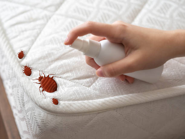 Best Pest Inspection Near Me  in Keary, NE