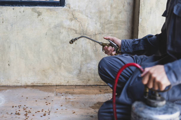 Best Pest Control for Homes  in Keary, NE